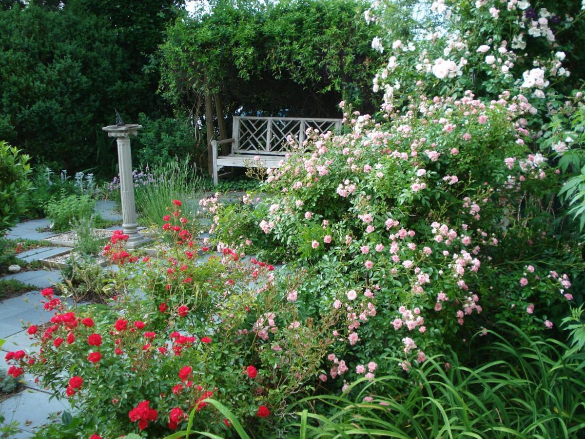 Newport House Bed & Breakfast Williamsburg Exteriér fotografie